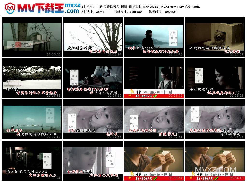 王麟-很傻很天真_国语_流行歌曲_MA405782